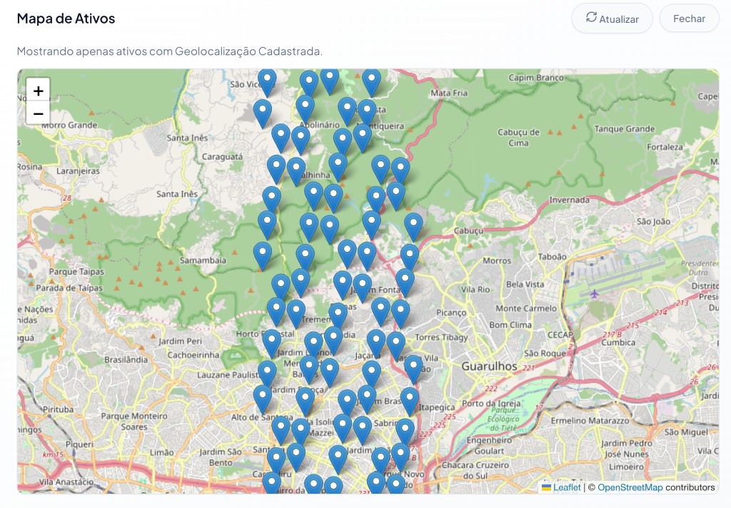 Visualização de ativos geolocalizados em mapa interativo na plataforma Rezora